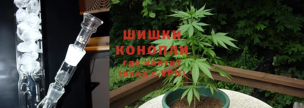 PSILOCYBIN Абинск